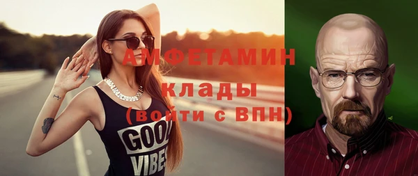 дмт Богданович
