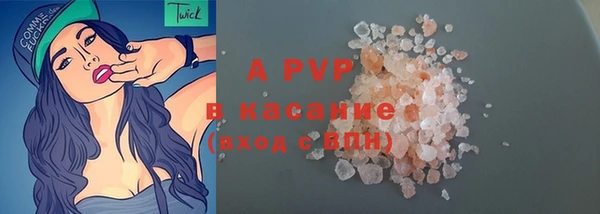 дмт Богданович