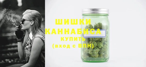 дмт Богородск