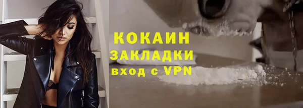 дмт Богородск