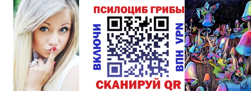 Галлюциногенные грибы Psilocybe  Дальнегорск 
